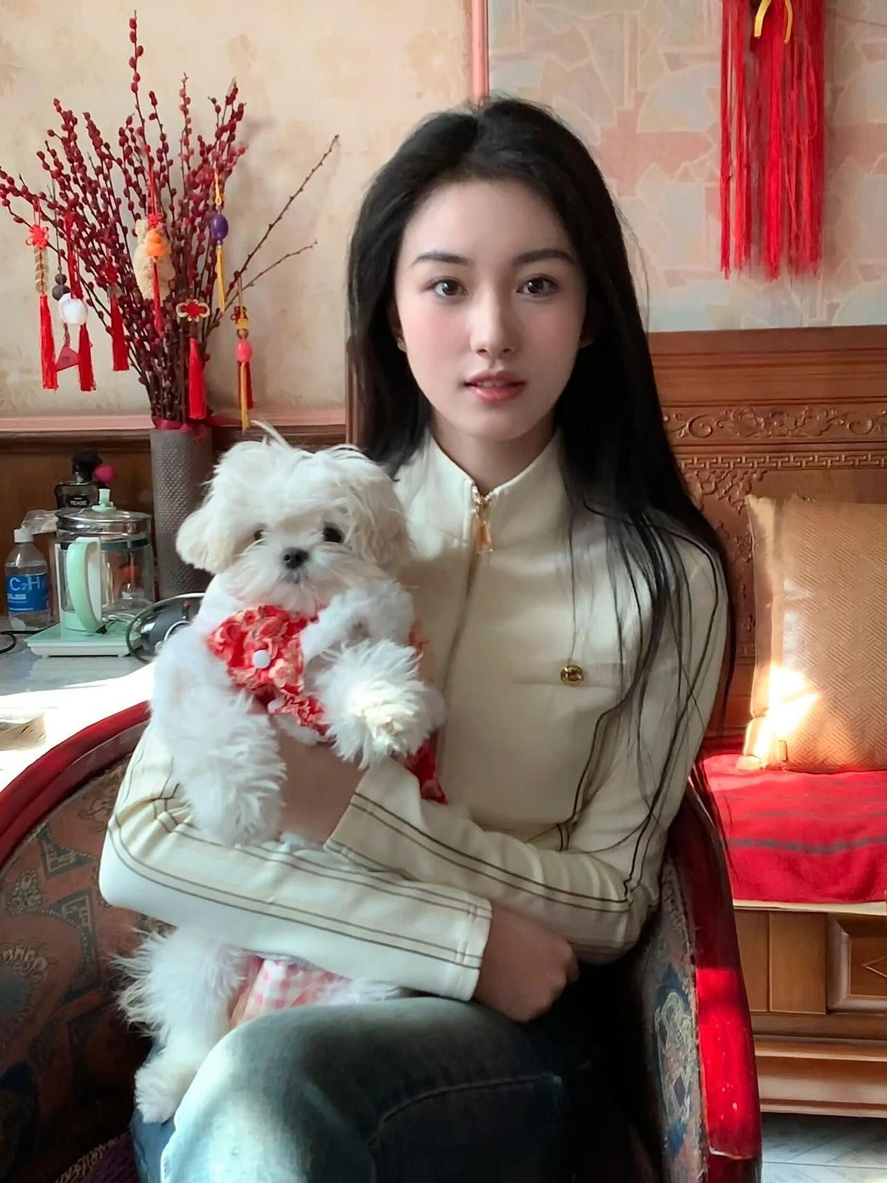 照片1