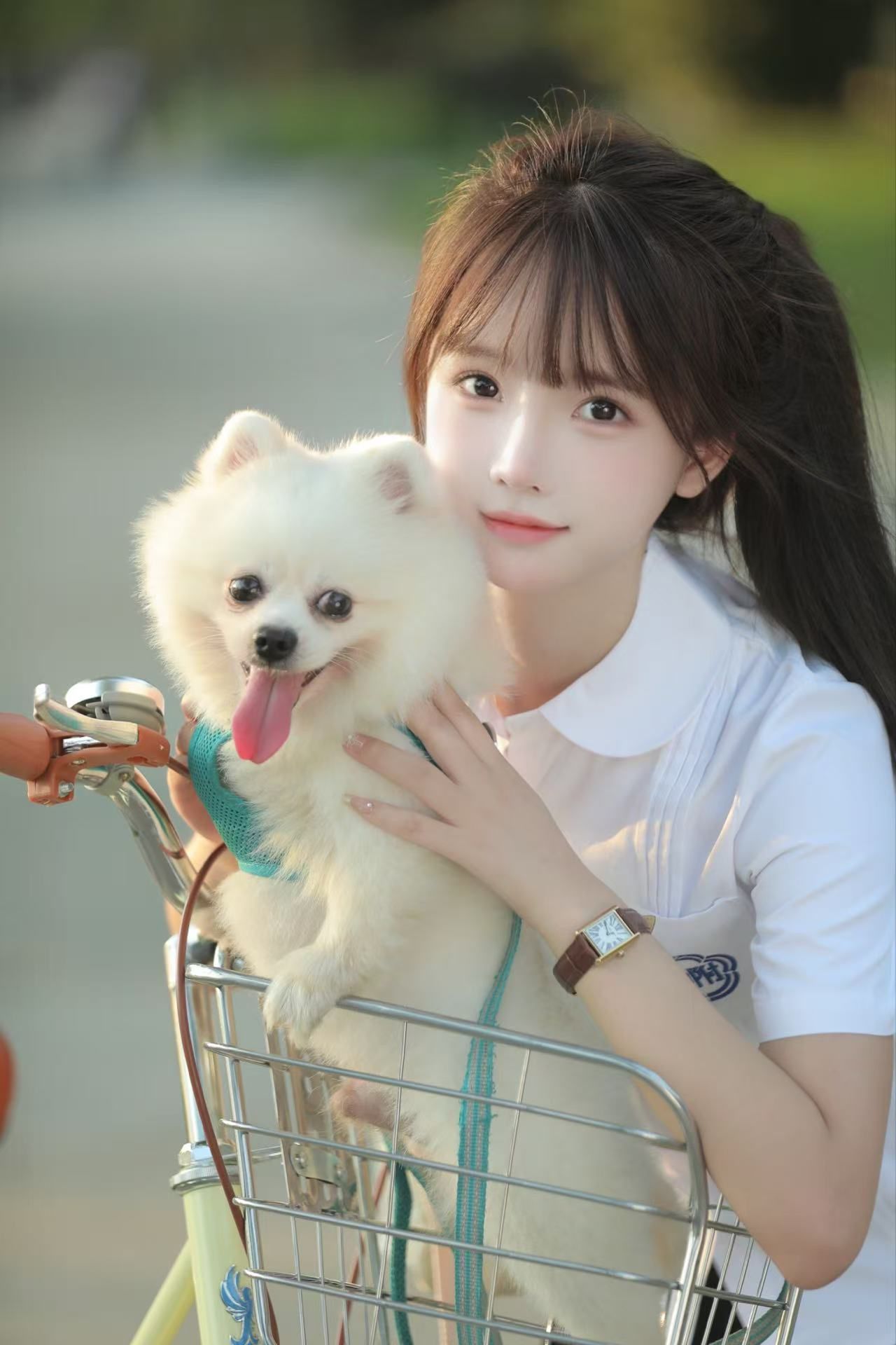 照片3