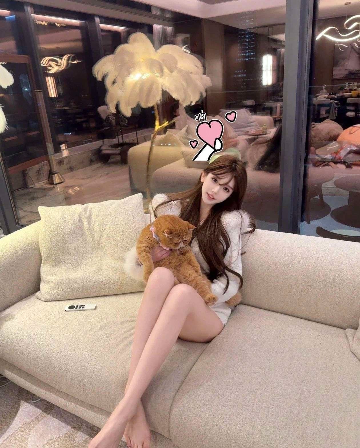 照片3