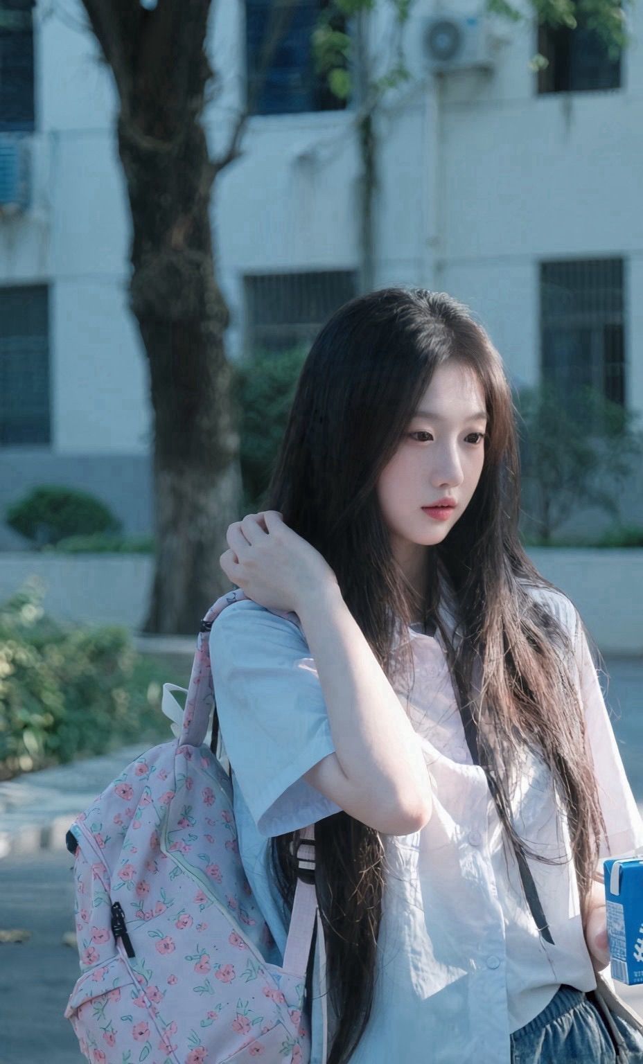 照片3
