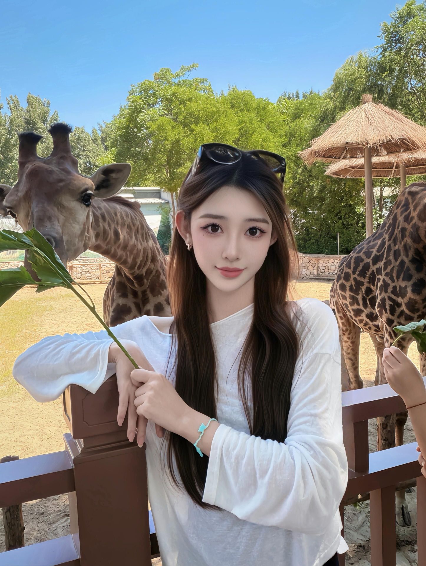 照片2