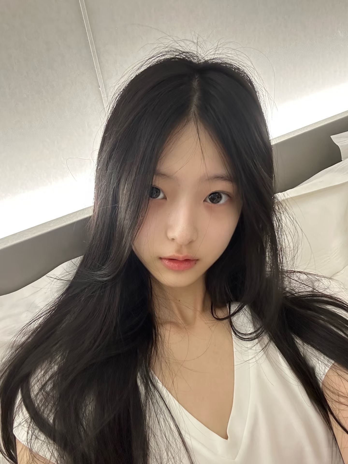 丹丹