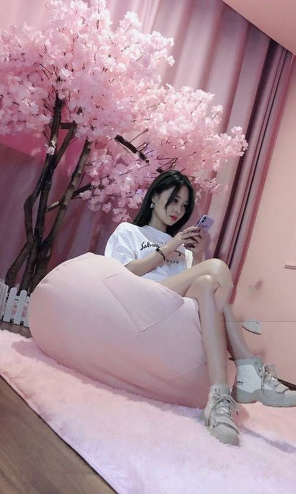 网红月亮上的垂耳兔