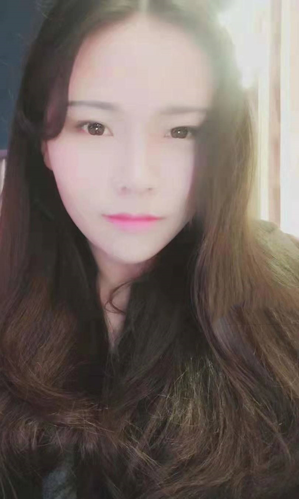 白领会撒娇的猫