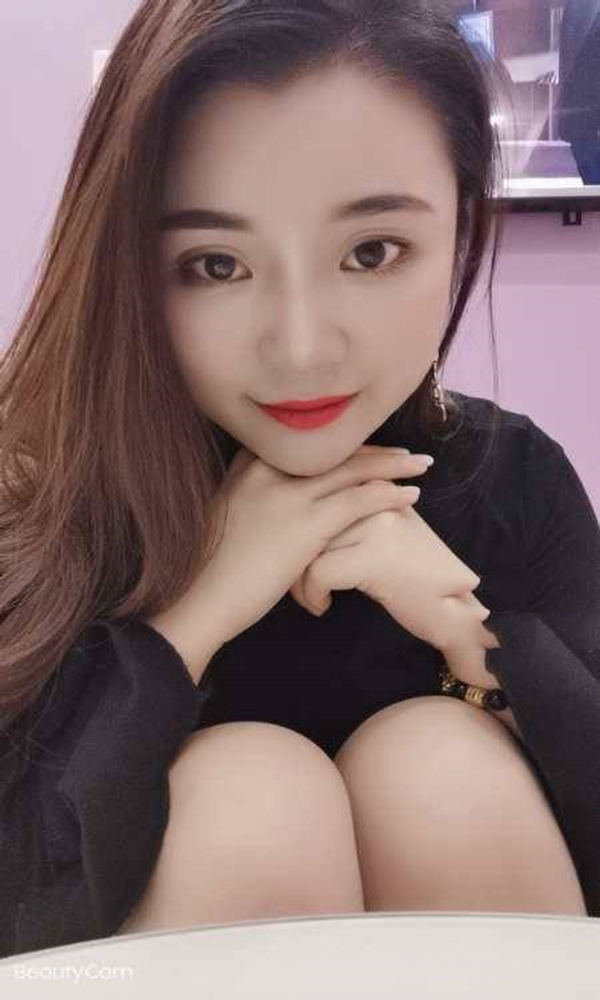 白领可爱的大猫咪