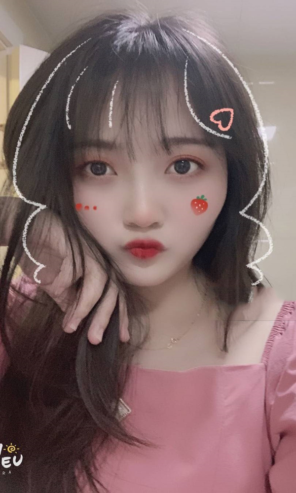 学生爱奶茶的猫咪