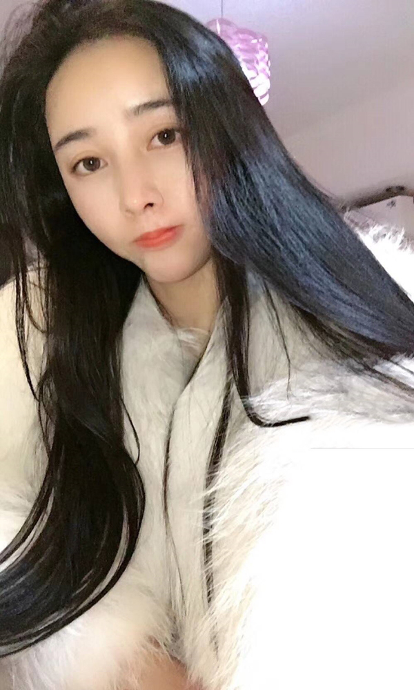 白领傻傻的黑猫