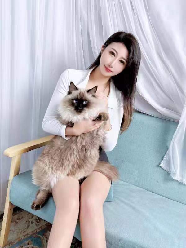 服务天花板小狐狸精儿