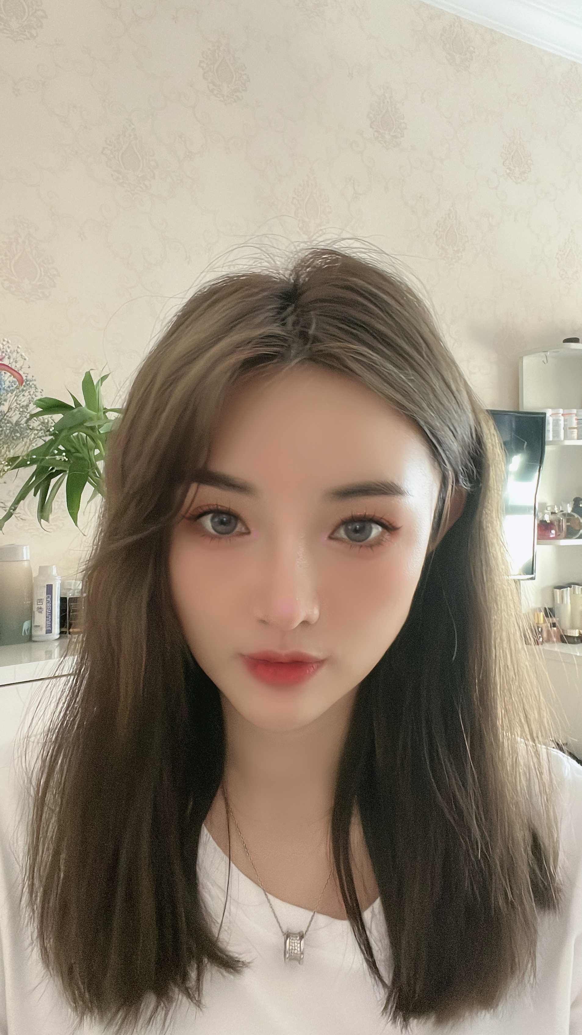 明治服务系维维