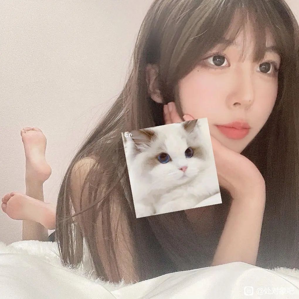 宽城区安全会馆