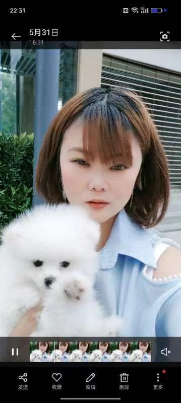 合肥南溪体验让人冲动