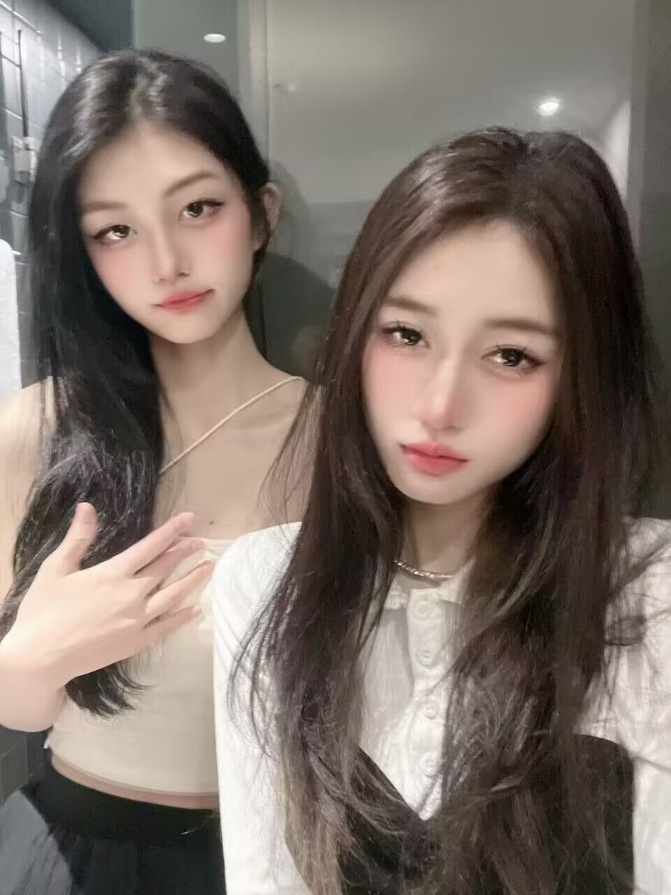 似狼似虎的姐妹花