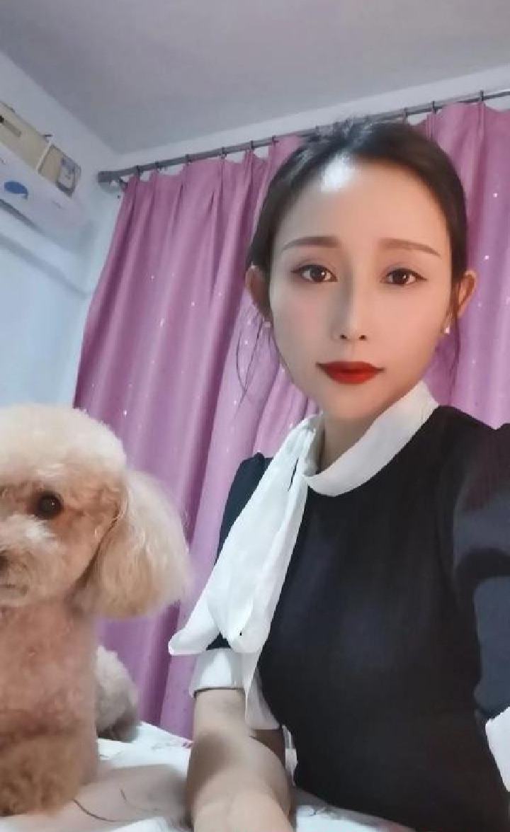 宠物美容师兼职