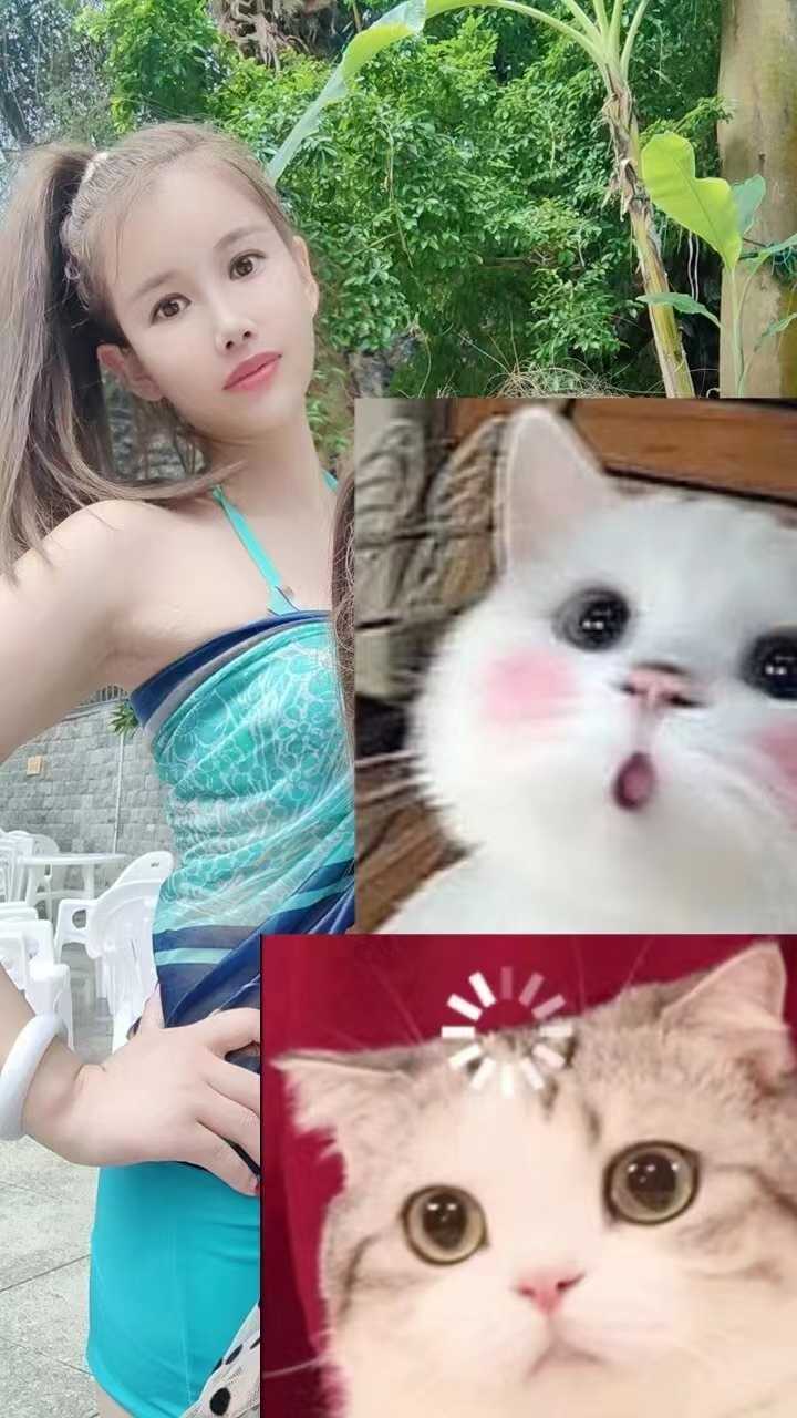 雨花区诱人小馋猫