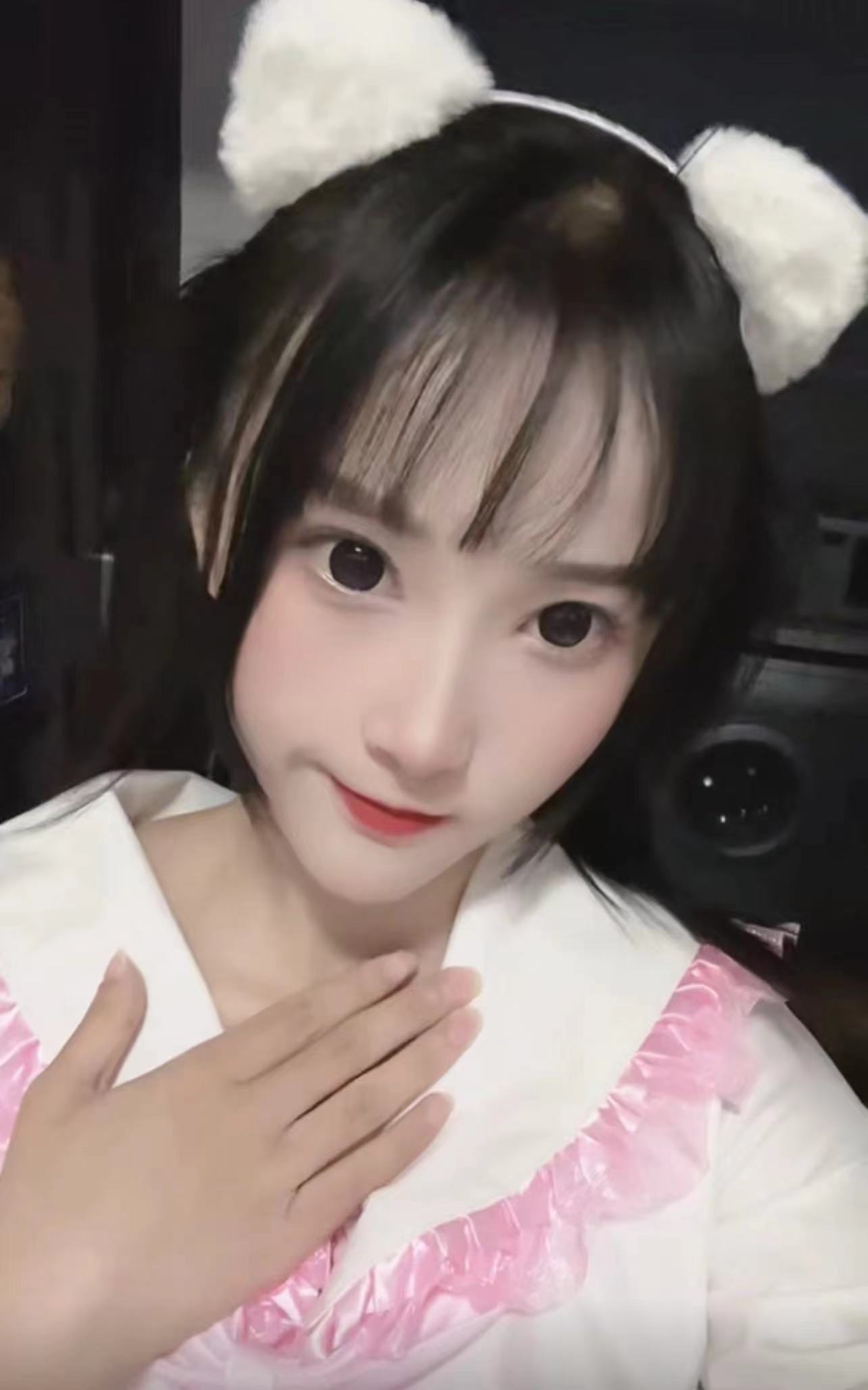 鼓楼区呆萌小可爱