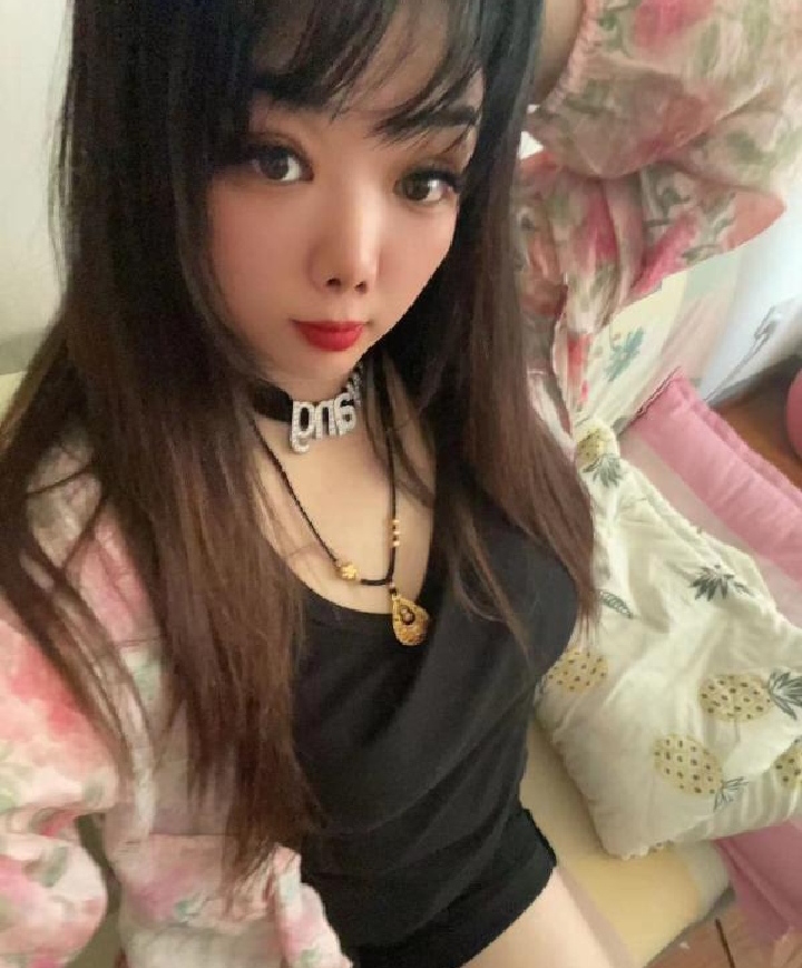 历城区骑术小坦克