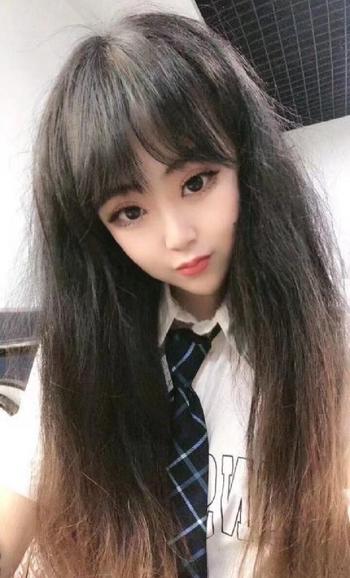 铁西清新小狐狸