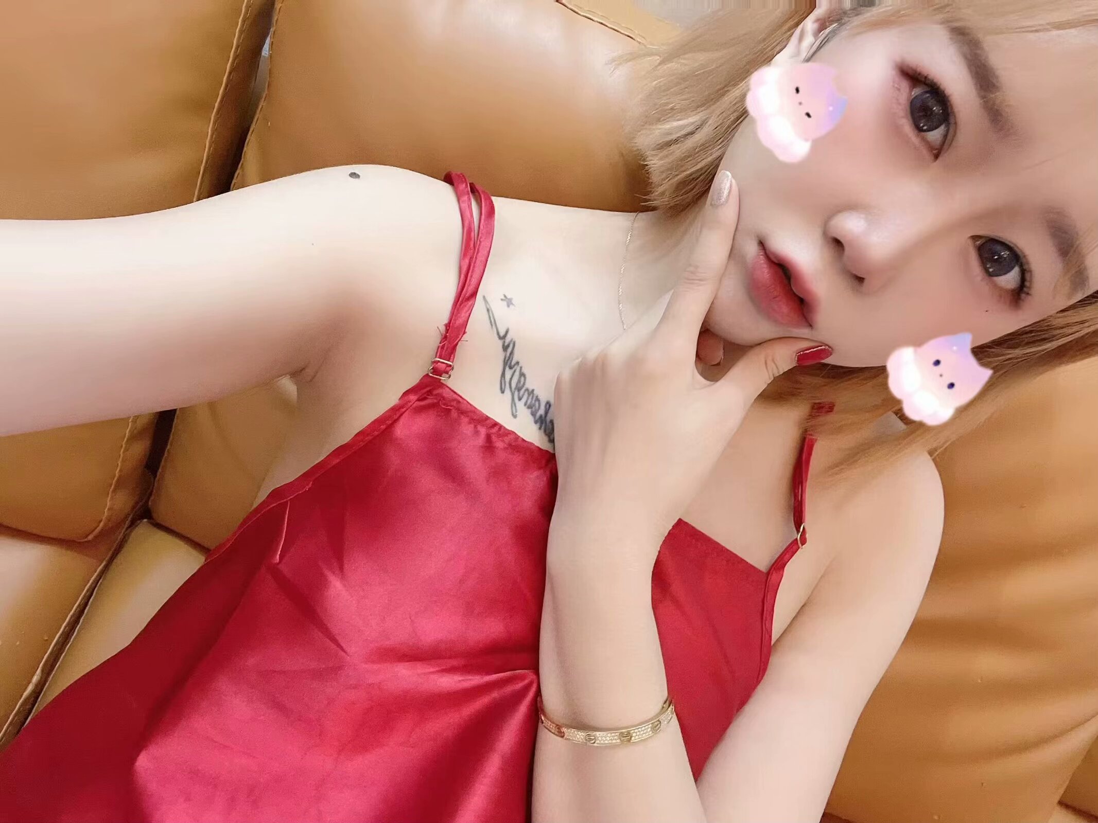 包河合柴1972个人