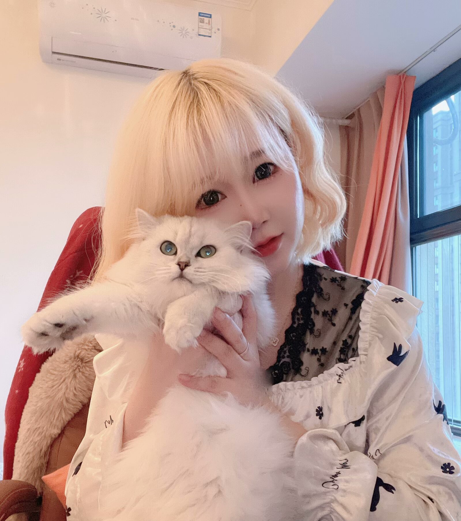 包河合柴1972个人