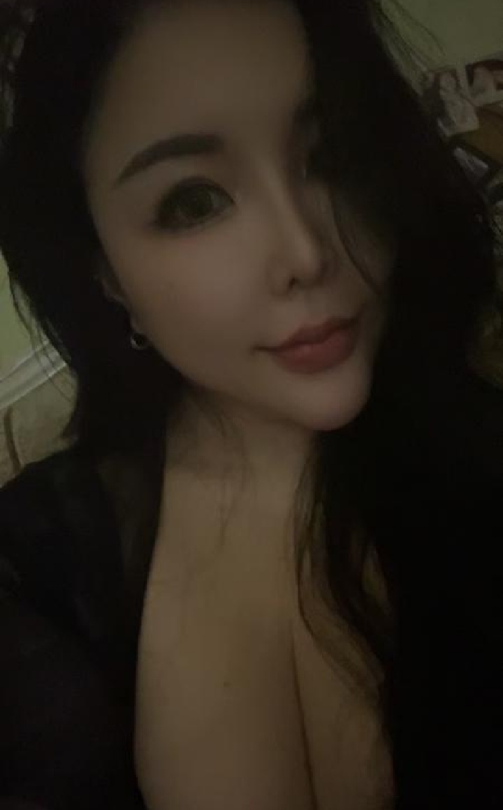 高冷妖精小野猫