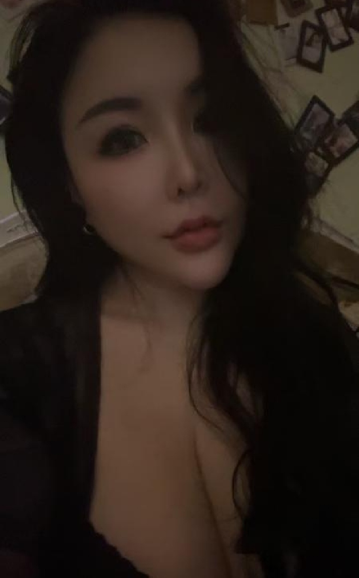 高冷妖精小野猫