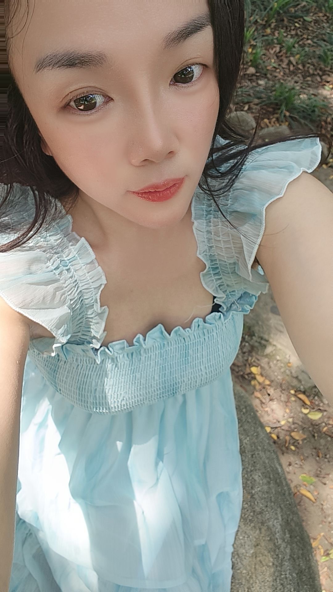 佛山号禅城夕颜价格300块钱 还不错