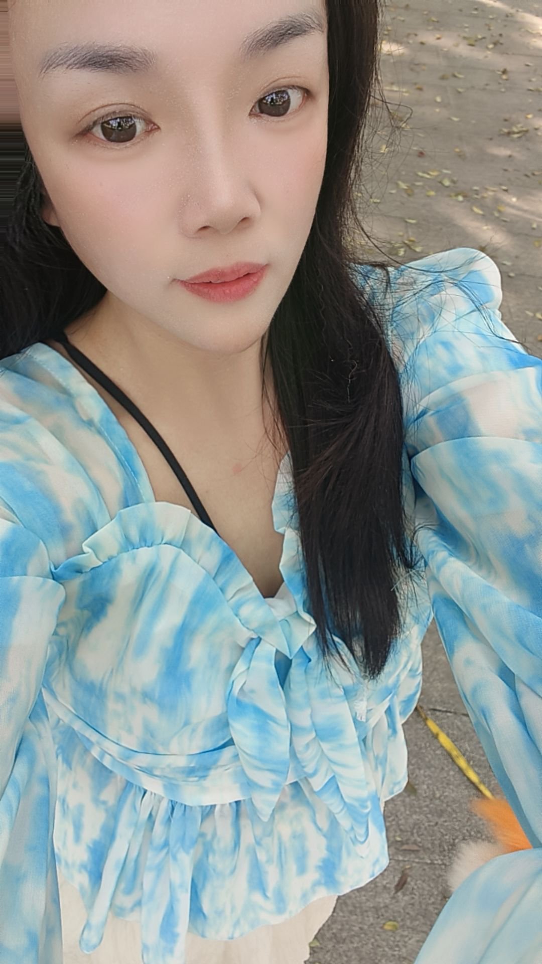 佛山号禅城夕颜价格300块钱 还不错