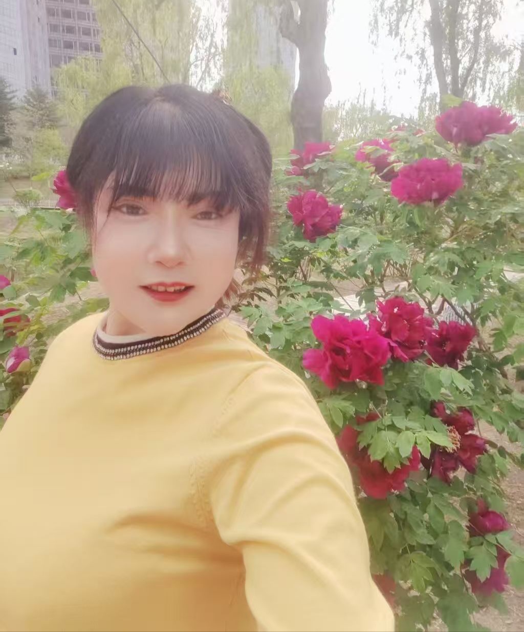 个人兼职只接白天