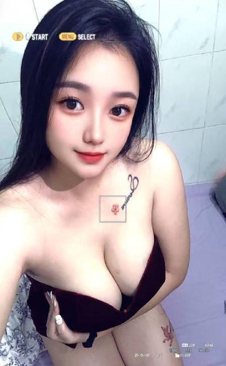 照片2
