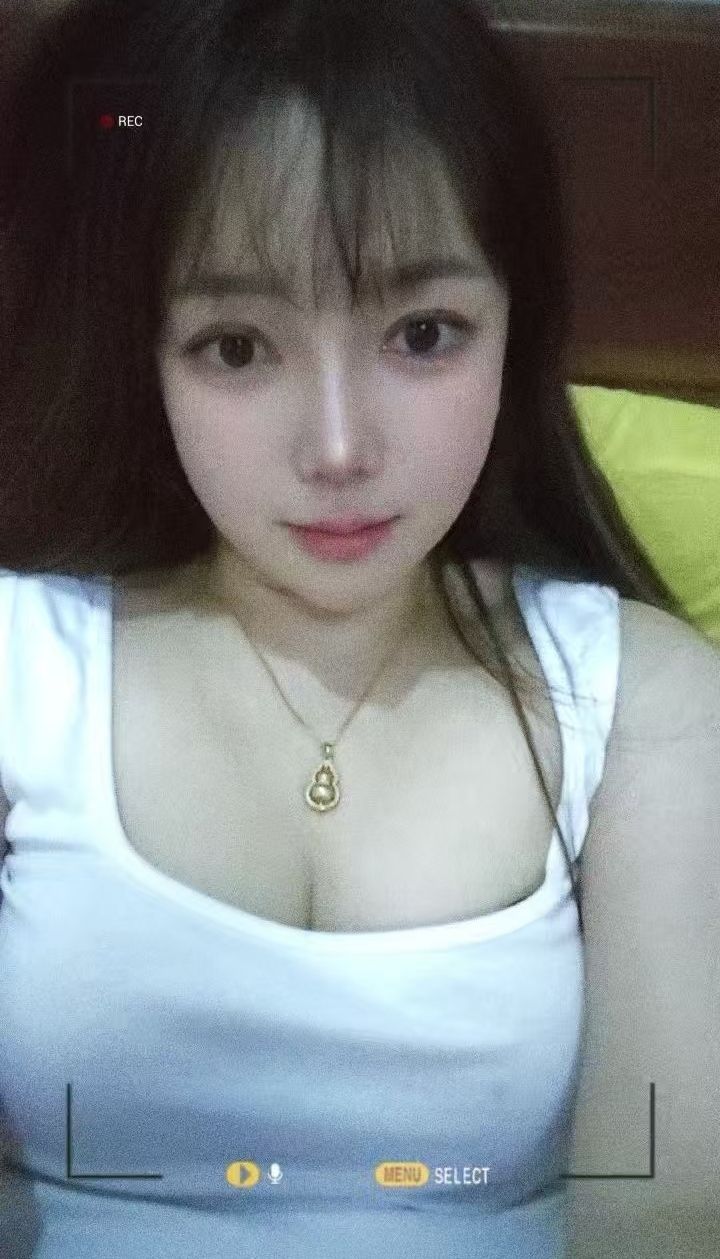 照片2