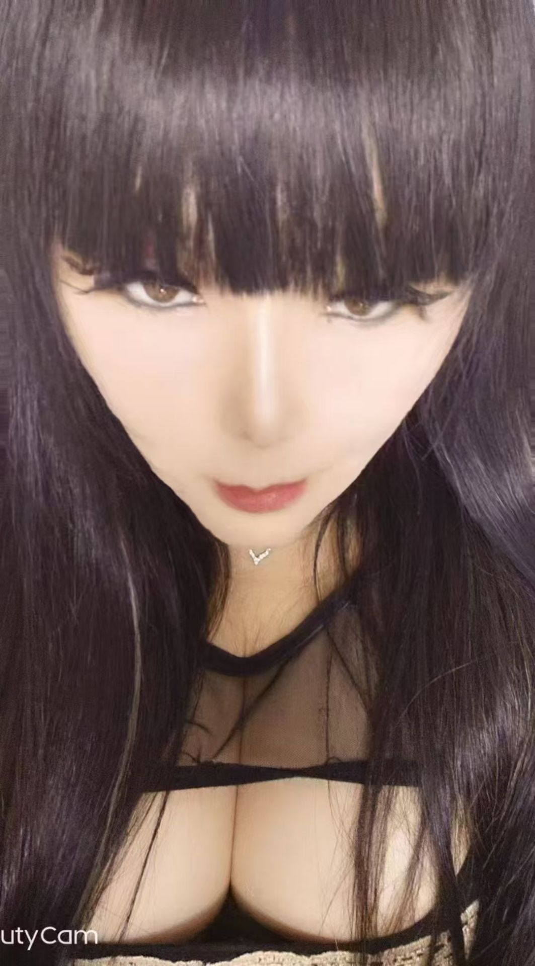 照片2