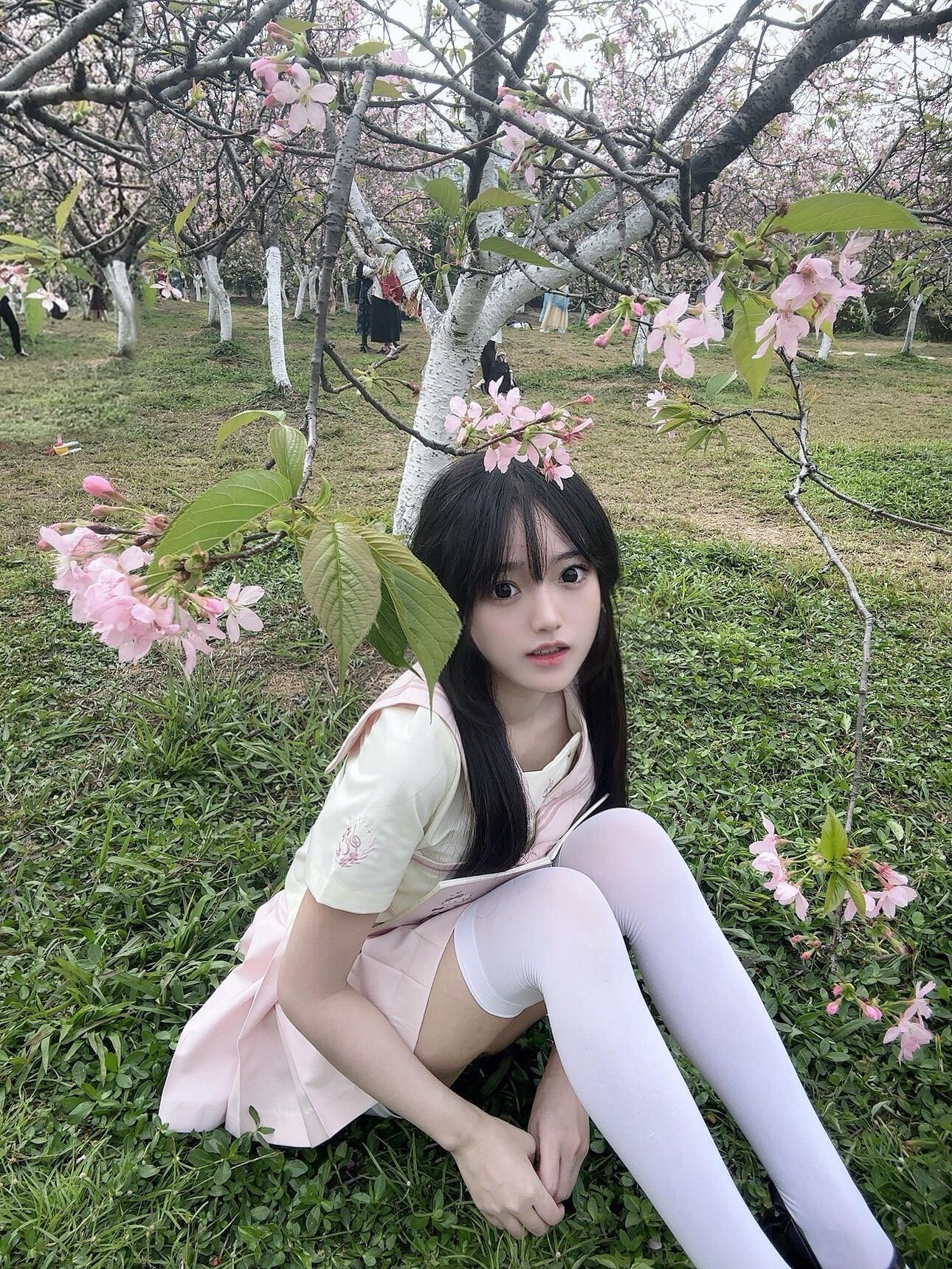 喜马拉雅依依